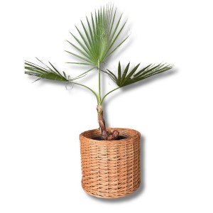 Wiklinowa osłonka na dnonicę Waszka 32 cm