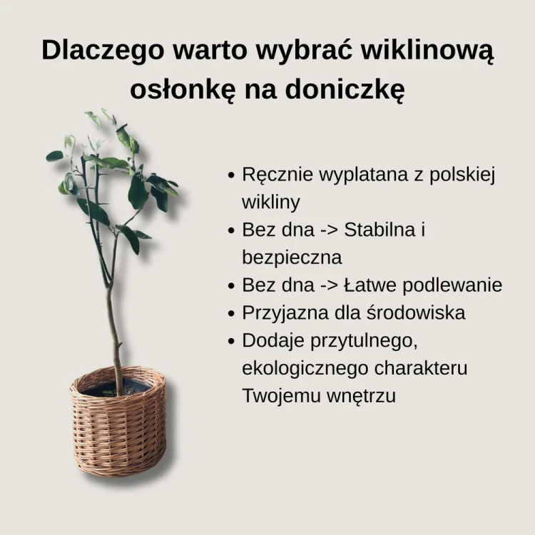 fc157e9907f4b55187d63d16ae4f5818