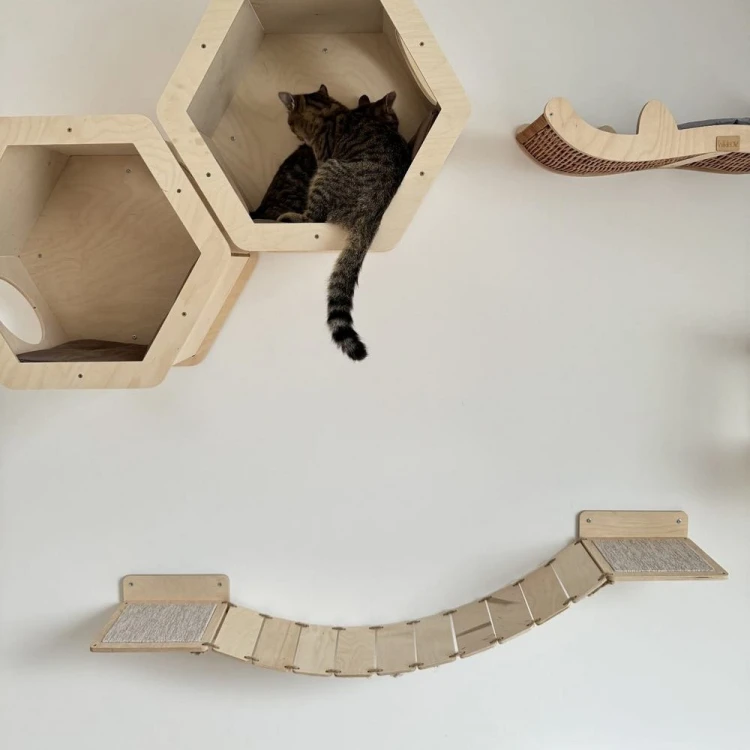 ab423492baf142a96a13f82bdfa4abcf
